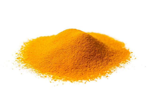 Curcuma rizoma polvere