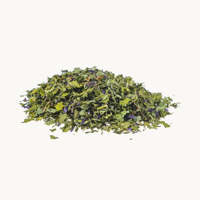 Malva fiori e foglie