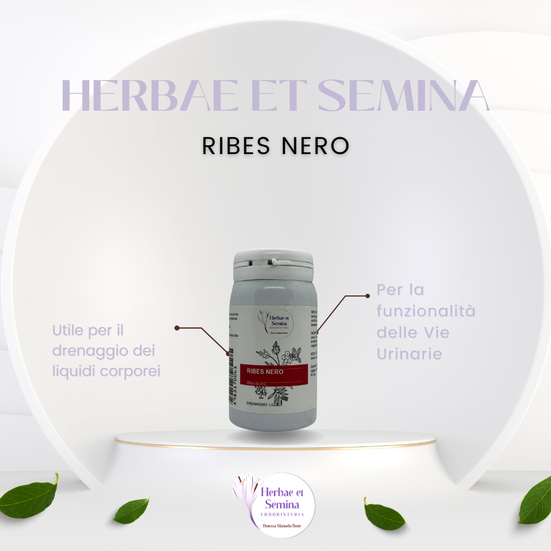 Ribes Nero