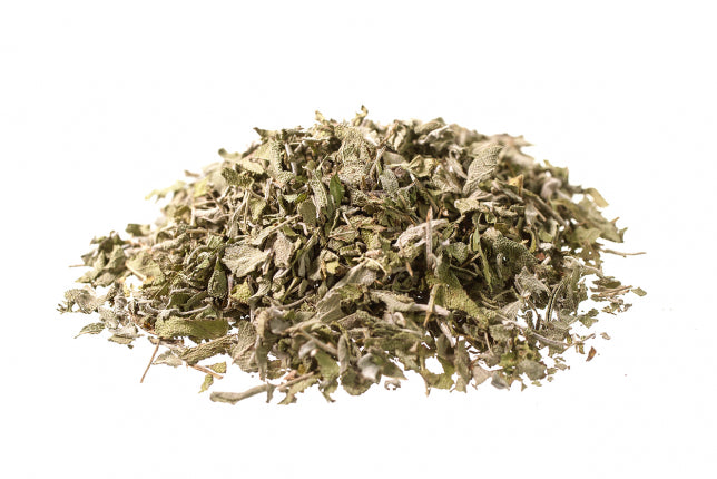 Salvia foglie