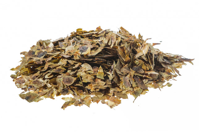 Senna follicoli taglio tisana