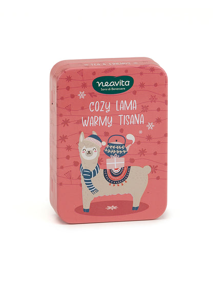 Mini Tin con filtri tisana