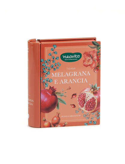 Mini libro con filtri