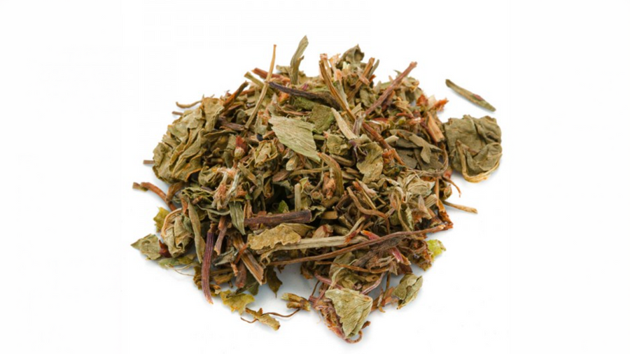Centella in tisana