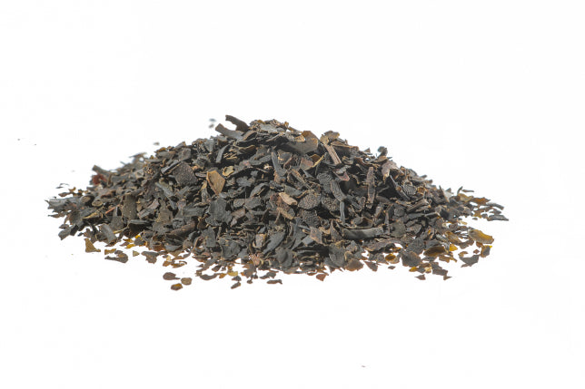 Fucus tallo