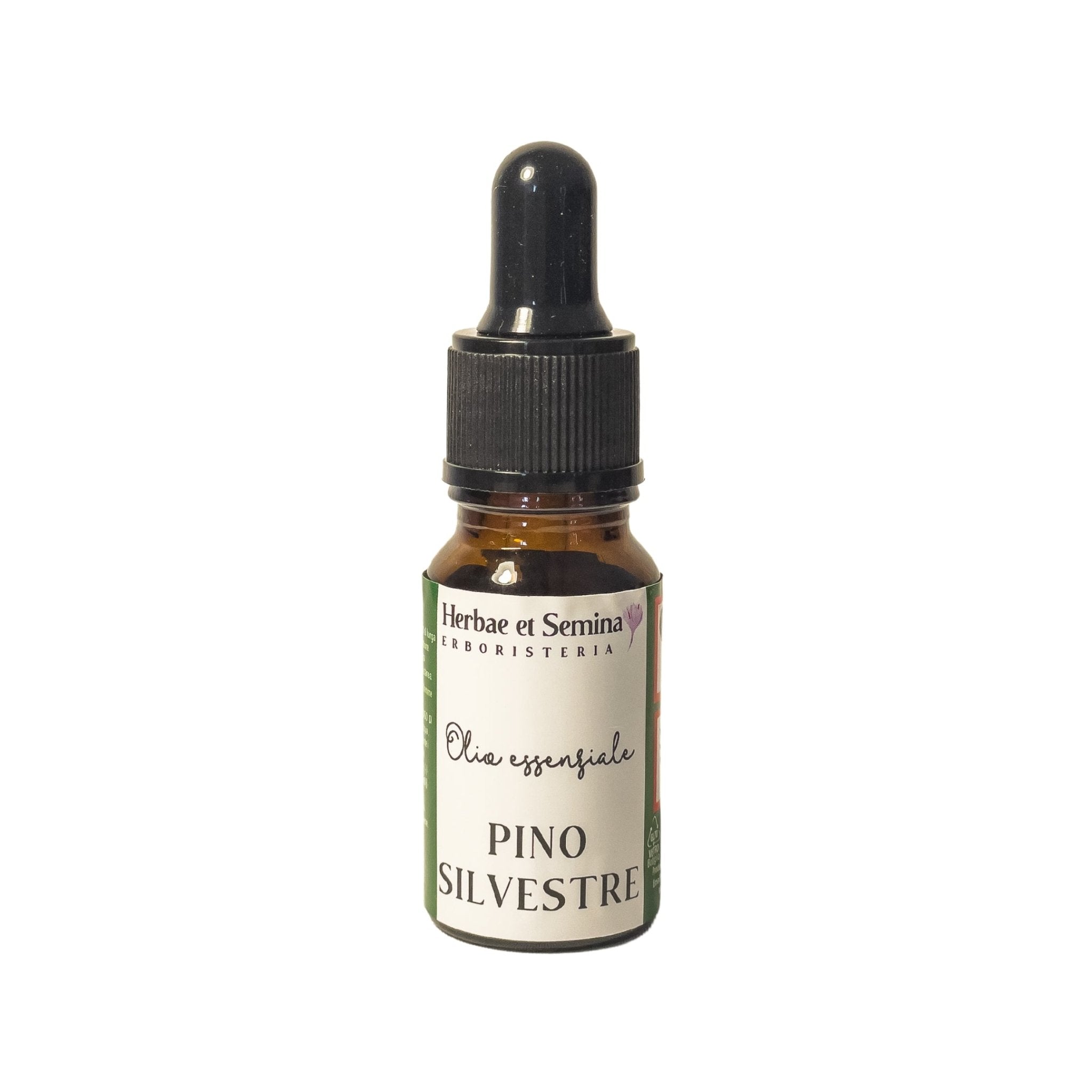 Pino Silvestre Oil - Herbae et Semina Erboristeria